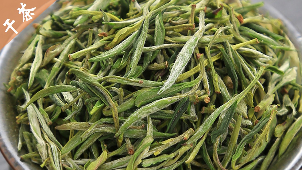 看图识茶考考你认识几种名茶,六大茶类及其代表名茶