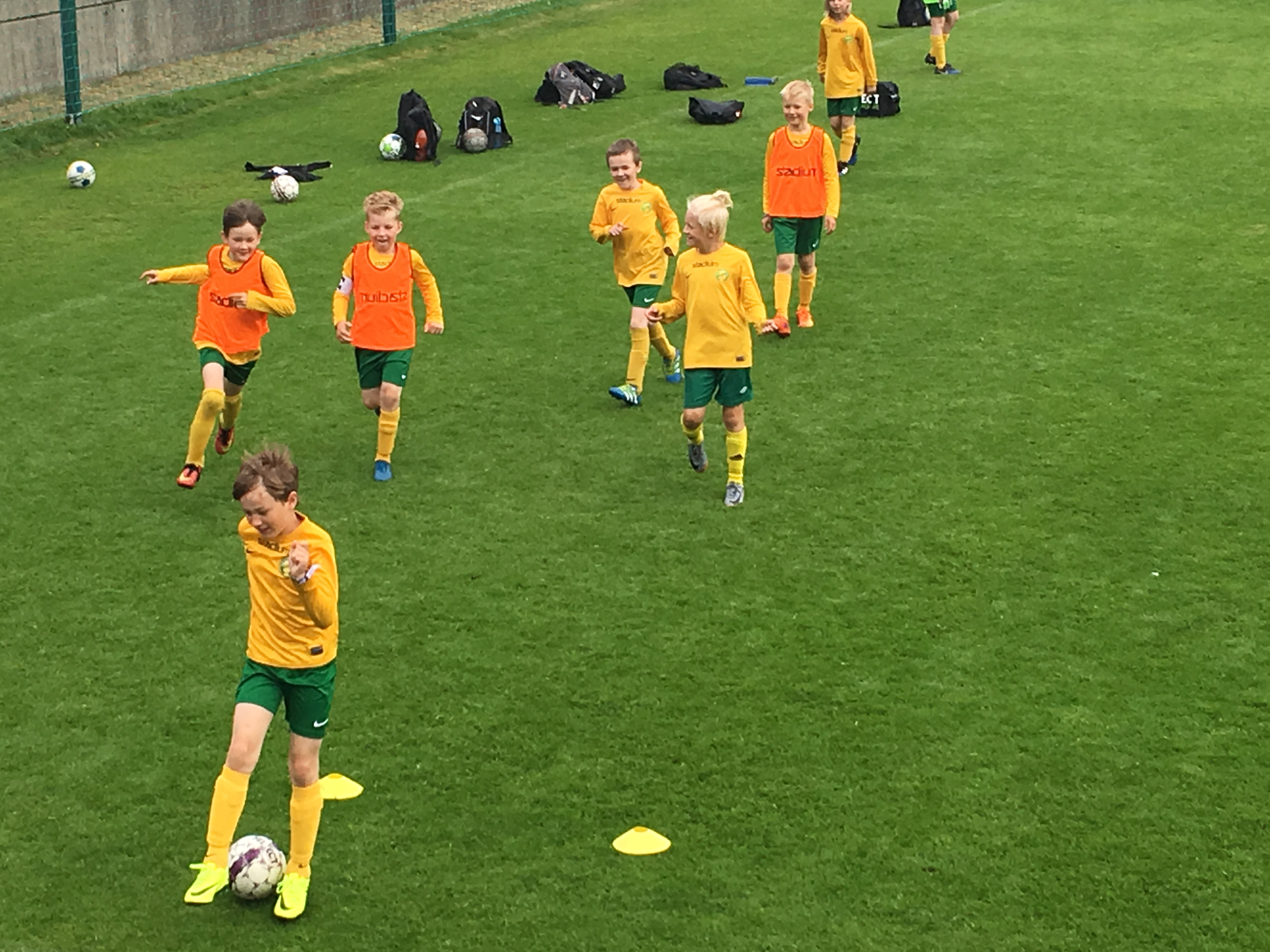 2020欧洲杯赛芬兰足球队,芬兰足球进世界杯了吗