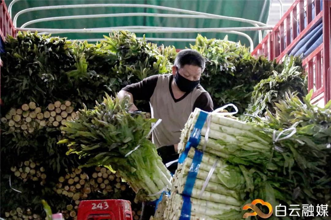 疫情期间保障“菜篮子”供应，这些白云企业，该奖！