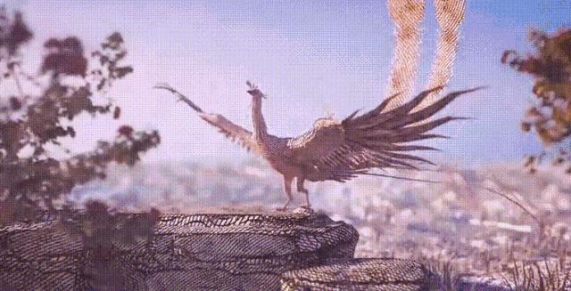 没有qq和微信怎么扫一扫,手机没有微信和qq怎么扫一扫