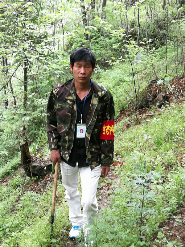 广西护林员要做什么,广西招募护林员