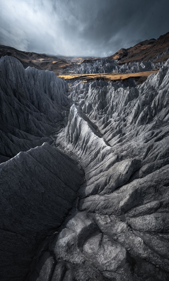 2017米拍十佳摄影师,2023米拍摄影奖名单