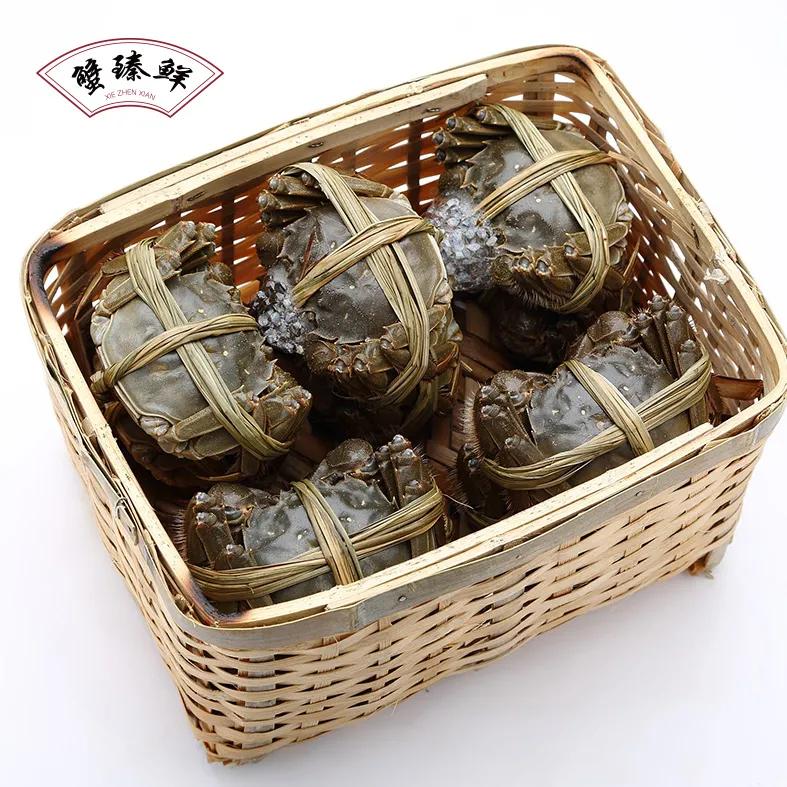 阳澄湖大闸蟹开湖活动,阳澄湖大闸蟹已进入最佳赏味期