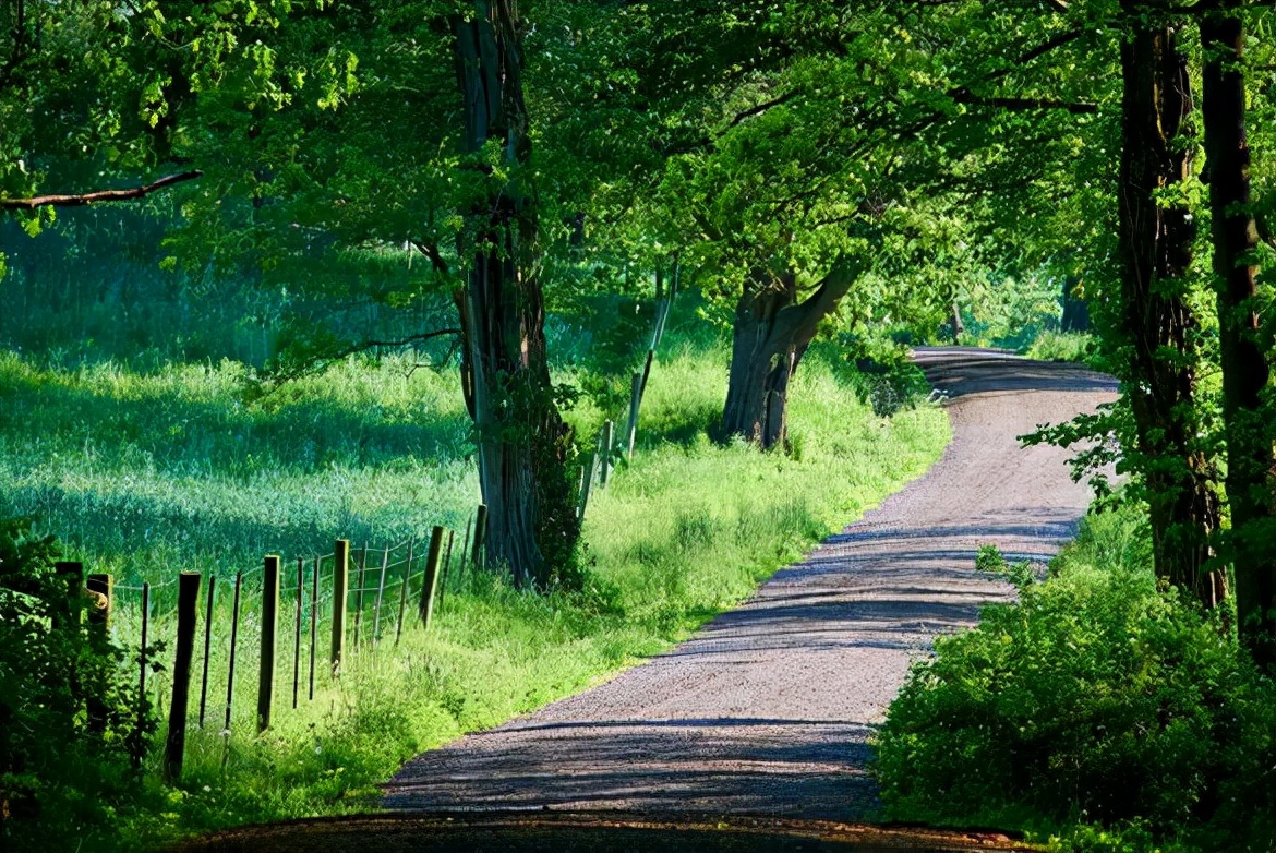 当前专科生学什么专业发展前景好,专科哪些专业就业前景好工资高