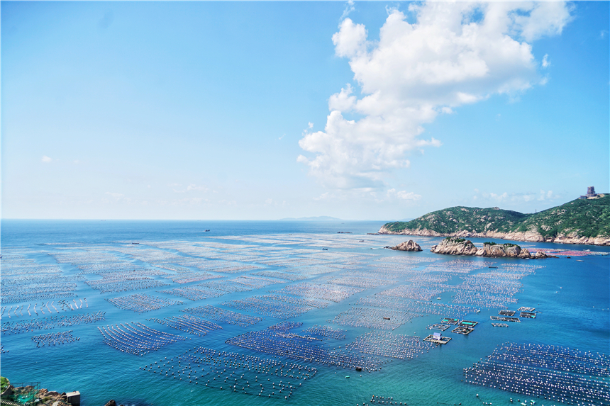 嵊泗美食推荐攻略,嵊泗列岛旅游攻略美食