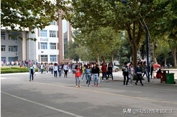 陕西省工业职业技术学院重点专业,陕西省工业技术学院排名