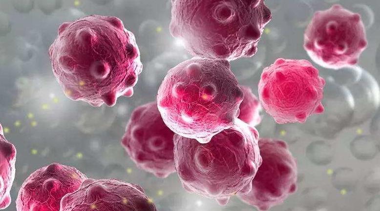 专家双黄连,专家说抢购双黄连