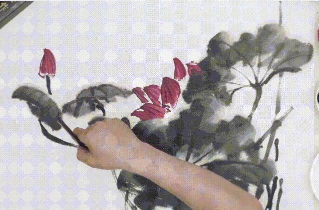 蜻蜓荷花图怎么画,夏天带有荷花蜻蜓的场景画法