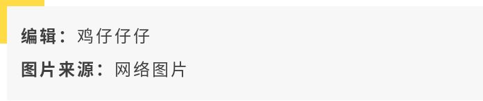 平成十大经典剧集,平成时代的奥特曼人气排行榜