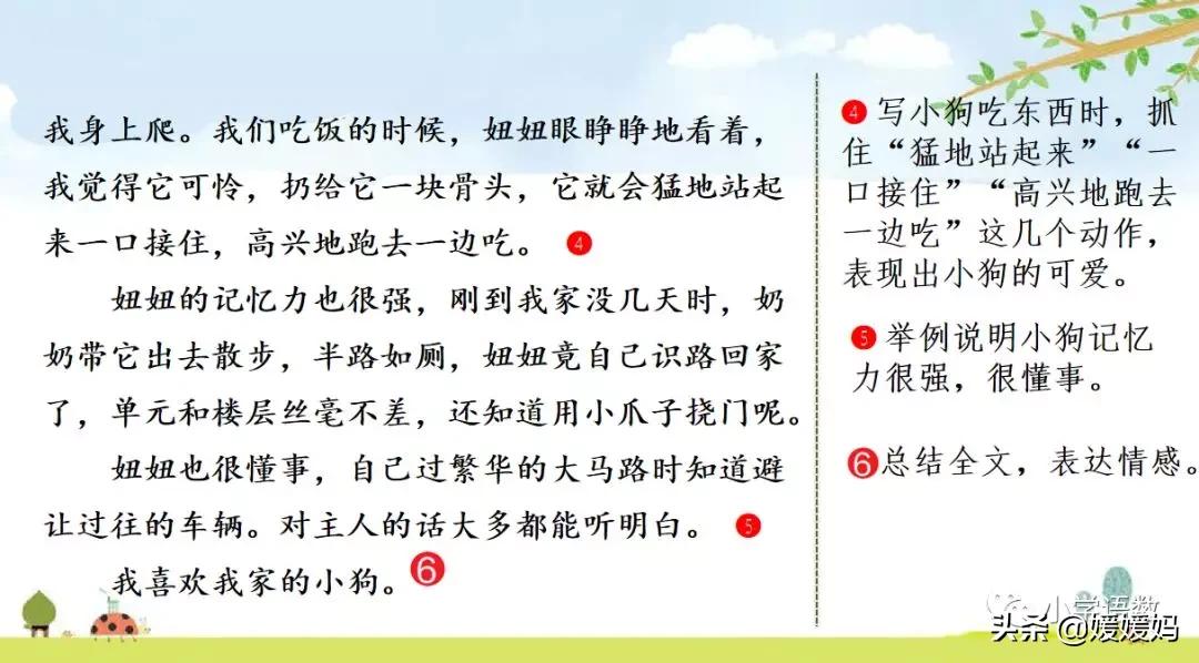 四下四单元我的动物朋友,第四单元我的动物朋友四年级上册