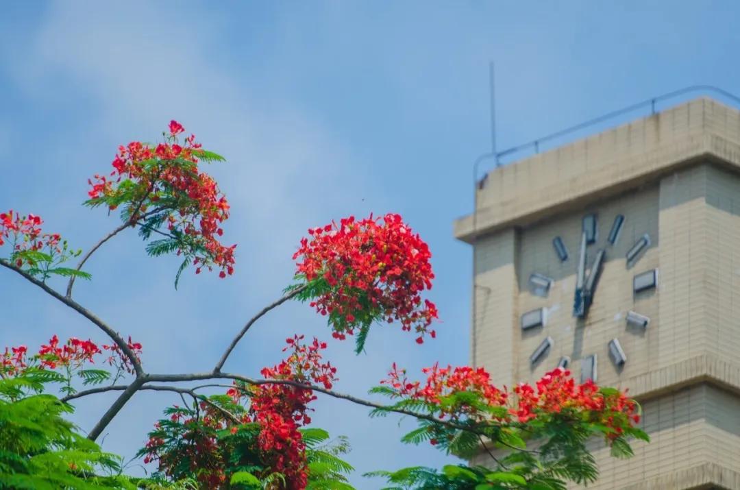 你好,我叫珠海,请收下我2021版新名片,带你了解新的珠海!