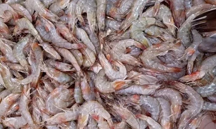 盘锦美食必吃10家饭店,盘锦寻鲜记