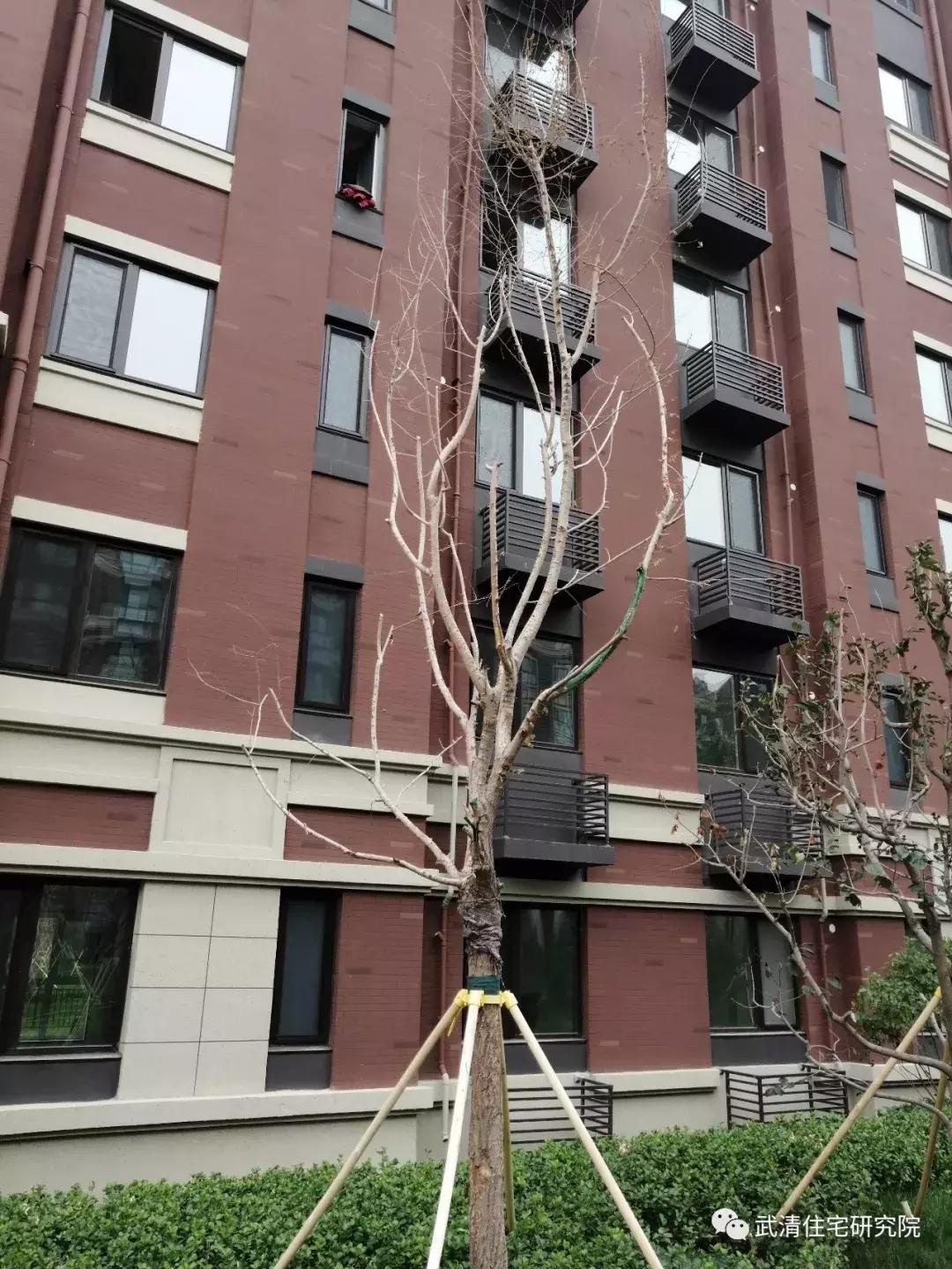 武清南湖片区房子值得投资吗,武清南湖地铁五号线规划图