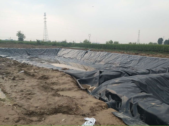 鱼塘防水防渗膜是什么膜,pe防渗膜与橡胶防渗膜