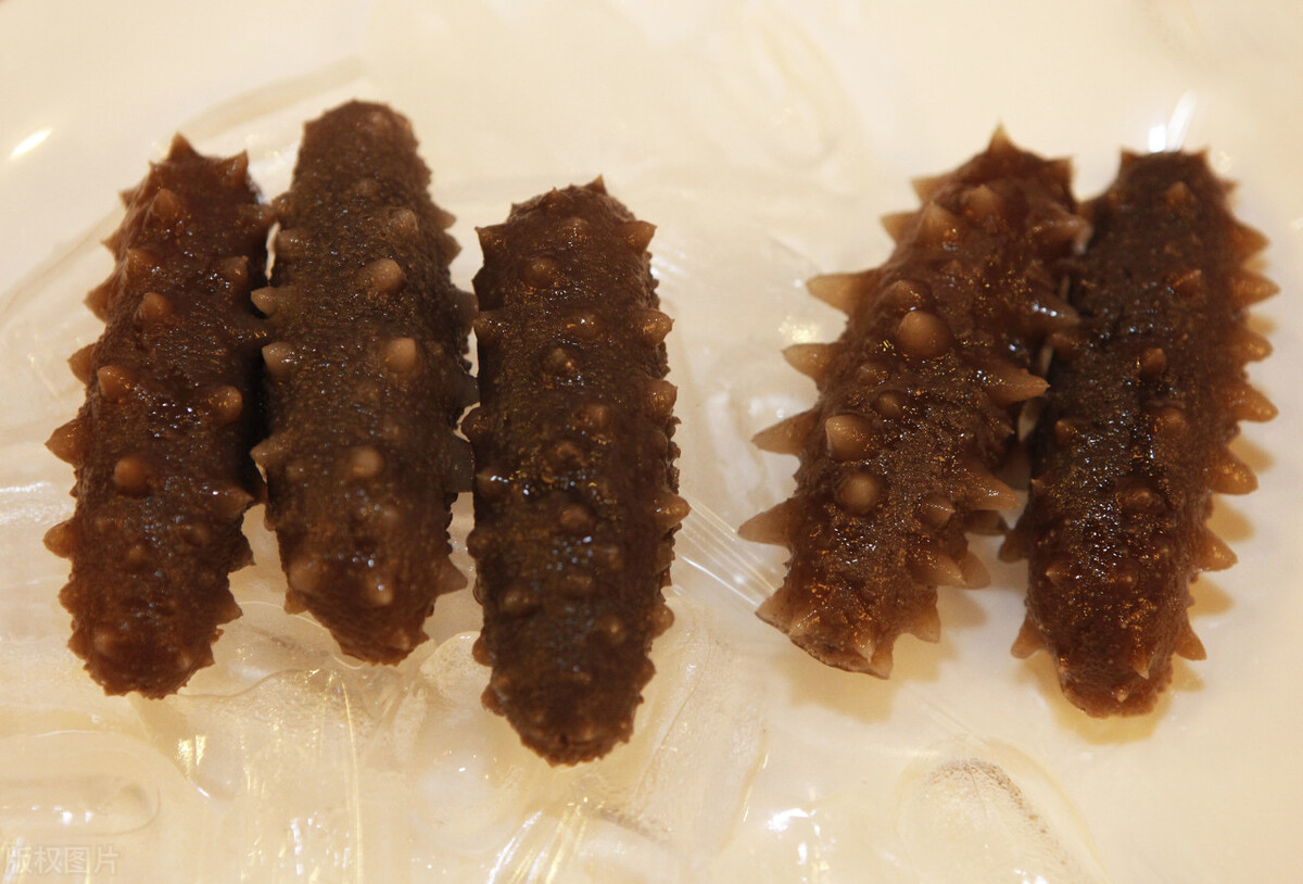 海参一周吃几个最佳如何挑选海参,海参种类多吃哪种海参好