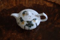 鎵瓙姹熷績姘翠粈涔堣尪,鏅掓檼鎴戠殑鑼惰壓浣滄枃