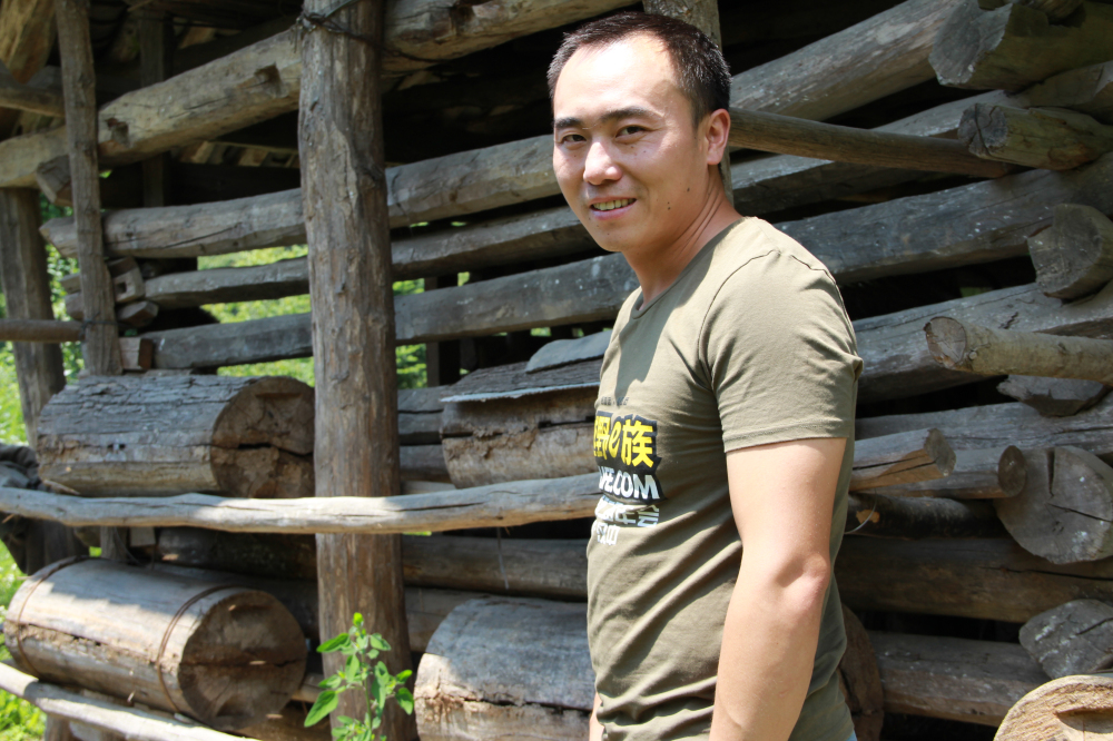 野蜂的口粮极为珍稀,一年等一次,再危险我们也要去“盗”一些!