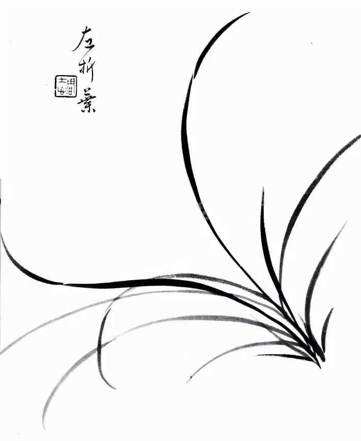 工笔兰花画法步骤详解,兰花的十种画法讲解