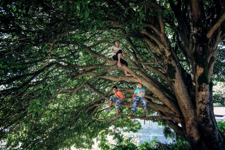 鄱湖之滨鱼米之乡,江西鄱阳湖