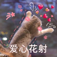 烫伤烧伤民间配方,正确处理烫伤或烧伤的方法是