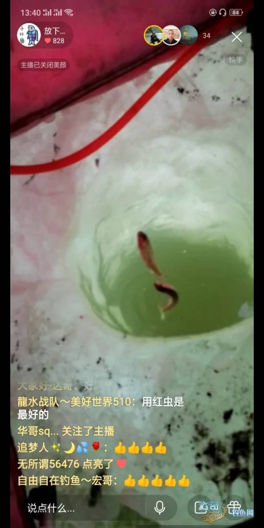 冰钓鲫鱼红虫挂大点好还是小点好,冬季钓鱼必杀饵红虫的选择与保鲜