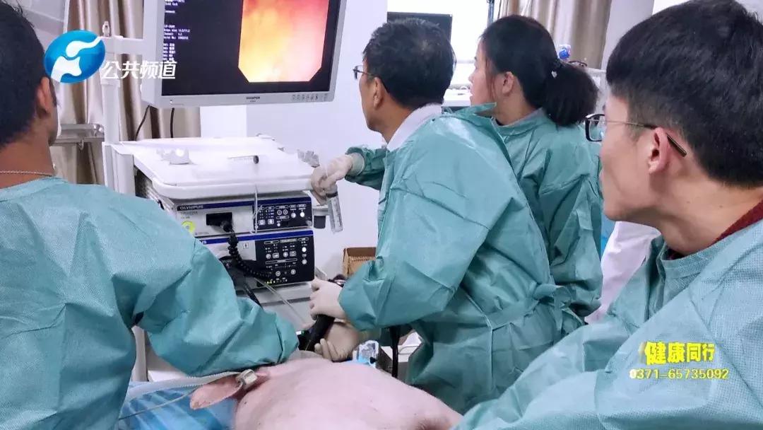 郑大一附院刘冰熔,郑大一附院刘冰熔坐诊时间