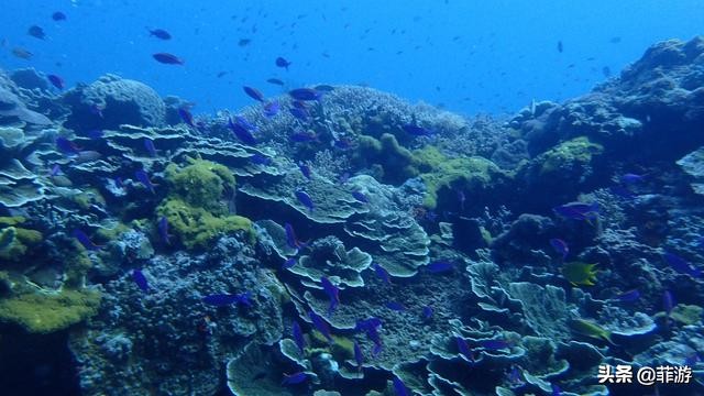 菲律宾马尼拉小马尔代夫攻略,菲律宾小马尔代夫度假村