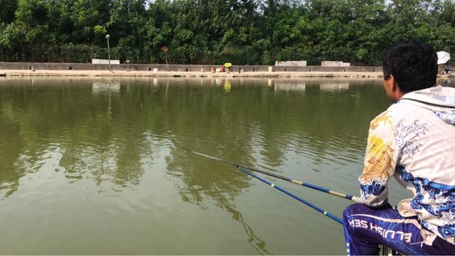 黑坑最好的解决办法,黑坑肥水塘钓鱼技巧