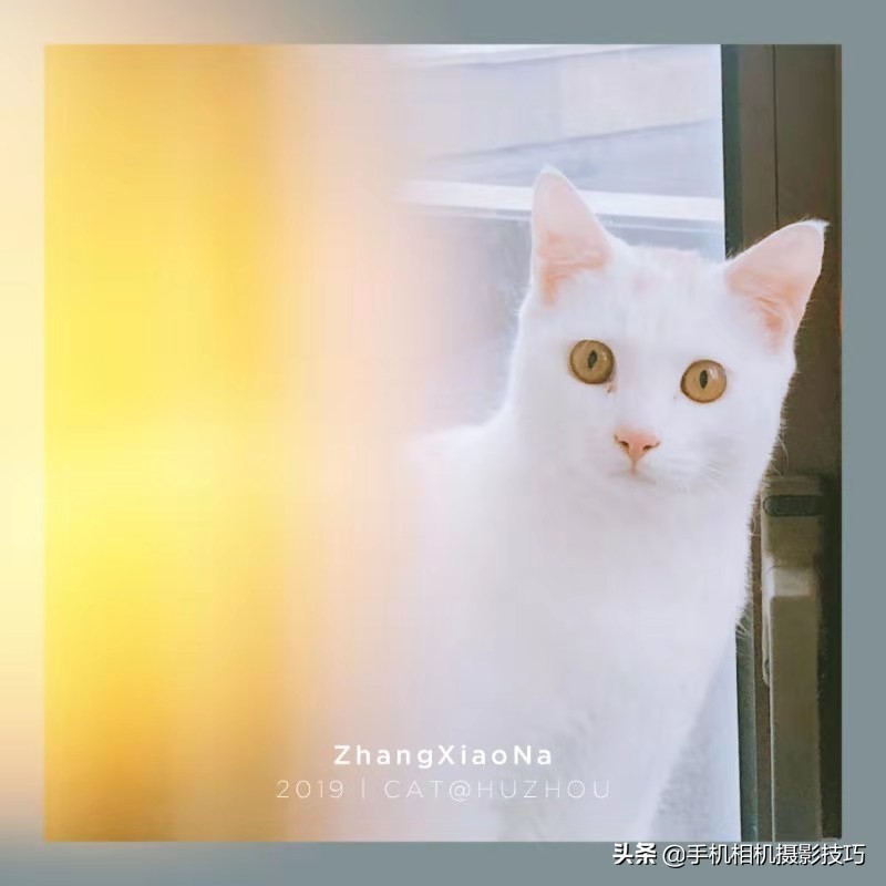 学拍照构图技术,学拍照需要掌握哪些技术