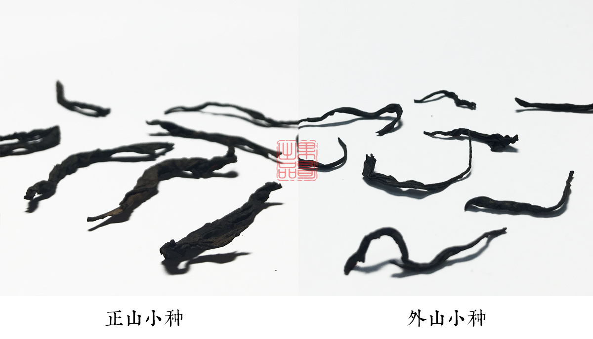 从业十年我所经历的火爆和低迷,茶行业真实揭露