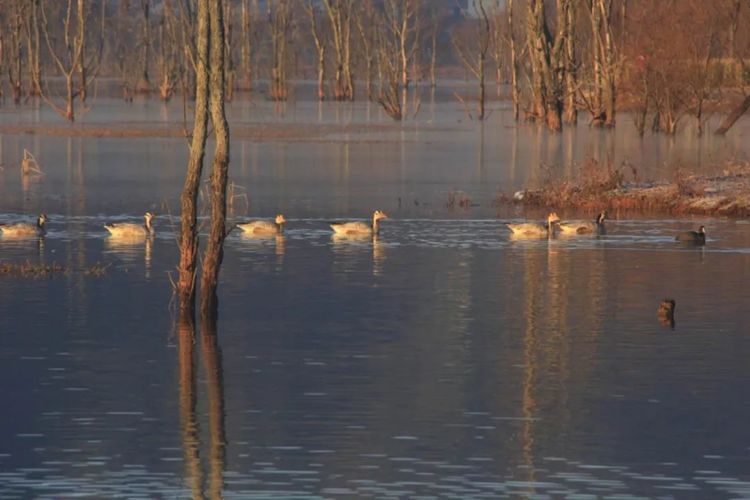 这座低调的小城,凭什么跻身云南6大国家历史文化名城之列?