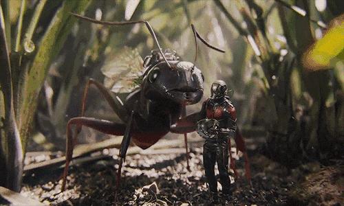 暑假孩子玩手机不如打篮球吧,儿童显微镜放大蚂蚁120倍