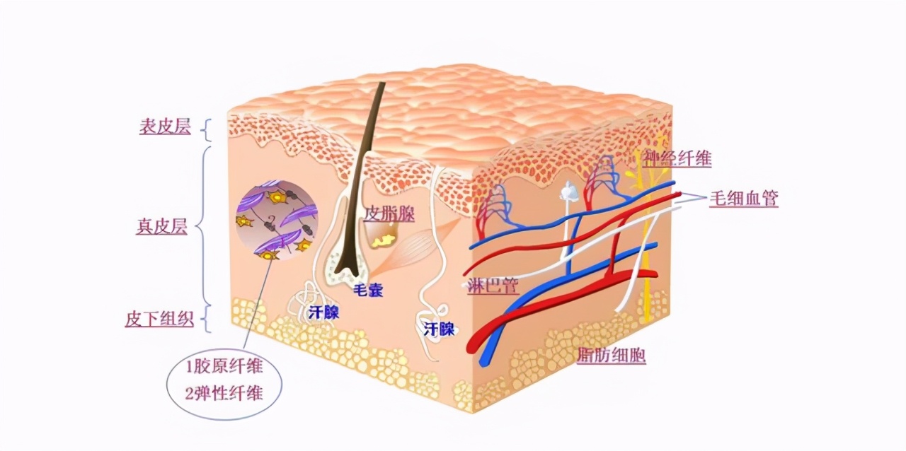 面膜多久敷一次效果才会比较好,面膜敷多长时间用完要不要洗脸了