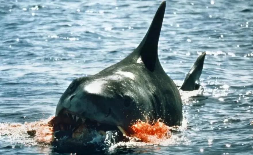 怪兽片盘点,年度最强怪兽片