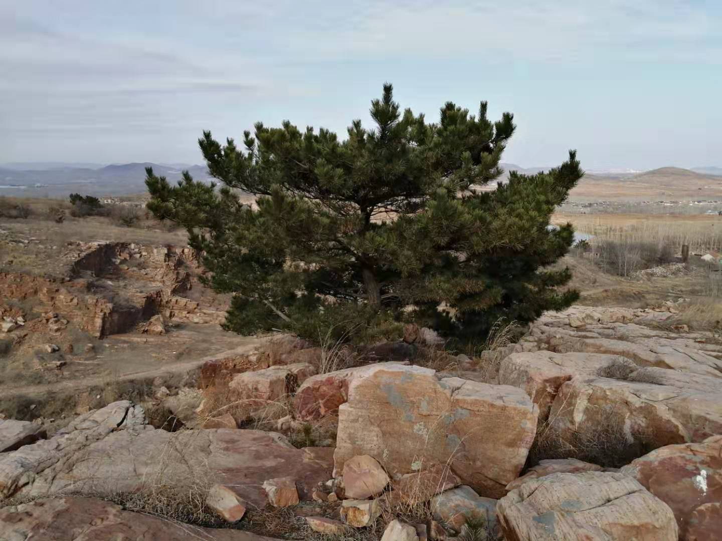 农村宁愿在家种地也不出去打工,为什么农民都不愿外出打工