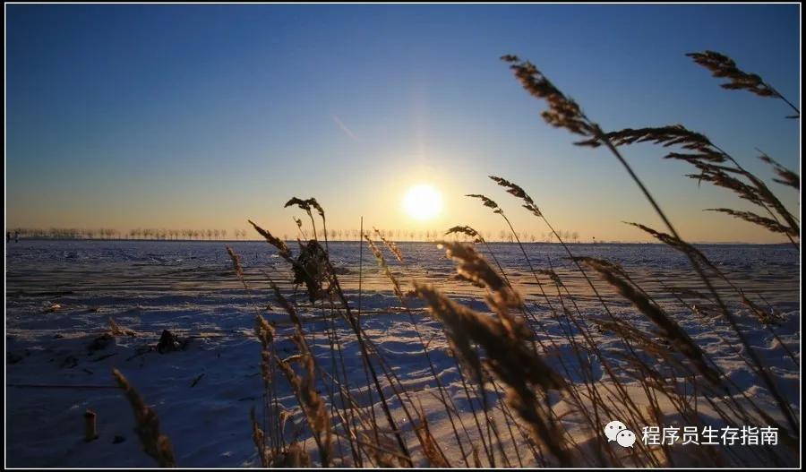 华为创业初期怎么做,华为创业初期的艰难之路