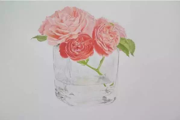 动漫手绘教程水溶彩铅上色技法,彩铅动物毛发技法绘画教程视频