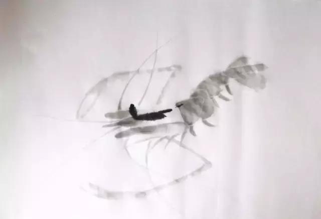 墨龙画法教程简单毛笔,河虾简笔画教程