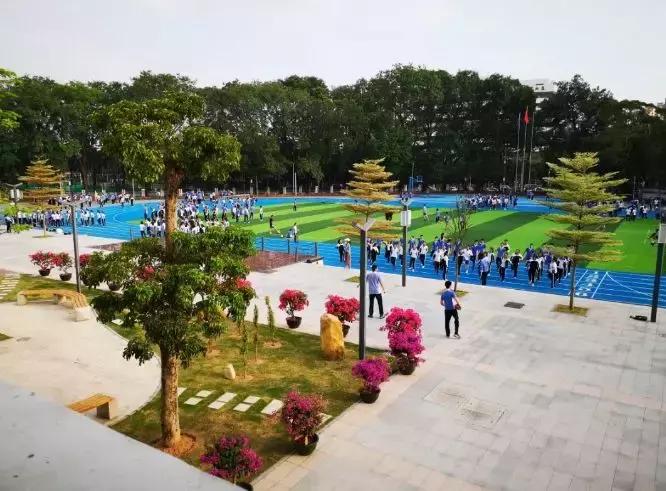 育才中学最后的冲刺,育才中学2019年小升初