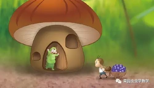 菜园种菜数学问题,菜地种菜数学问题