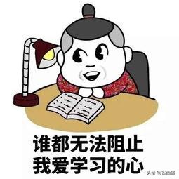 政府雇员值得去吗,政府雇员可以转变为公务员吗