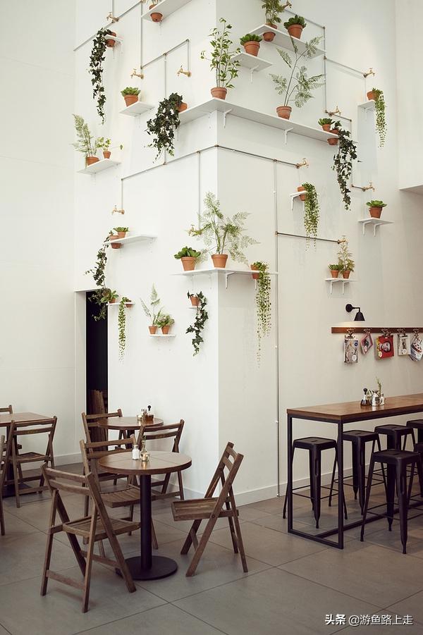 多肉植物整面墙效果图,室内多肉植物墙造型