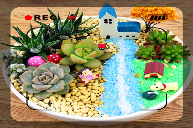 现在有适合农村创业的加工项目吗,适合家庭工厂创业项目有哪些