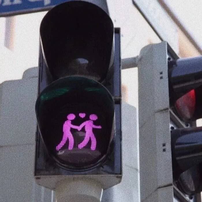 山楂树之恋短文,山楂树之恋你的喜好