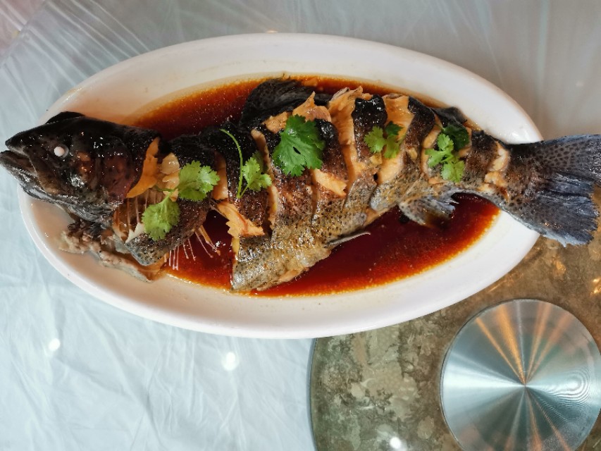 金鳟鱼虹鳟鱼冰鲜,广东冰鲜虹鳟鱼