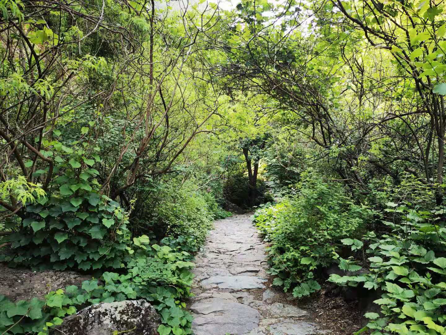 打卡北京双龙峡风景区,十里溪流百潭瀑布,北方小九寨名不虚传