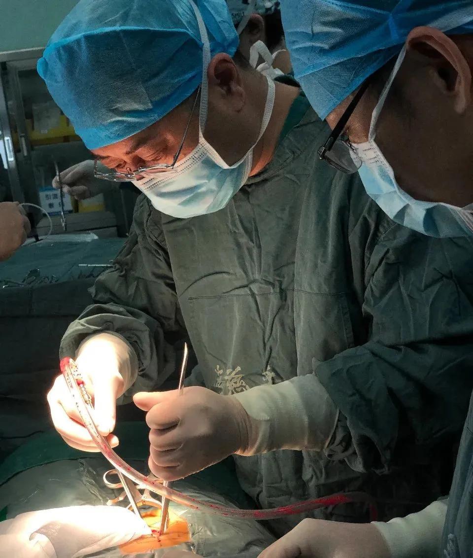 新技术｜电极释放的微弱生物电关闭疼痛的“闸门”