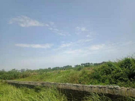 天地壹号估值,天地壹号融资