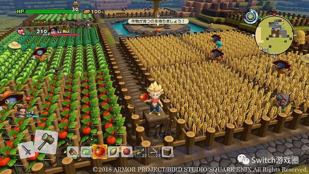 勇者斗恶龙创世小玩家2小技巧,勇者斗恶龙创世小玩家2解说合集