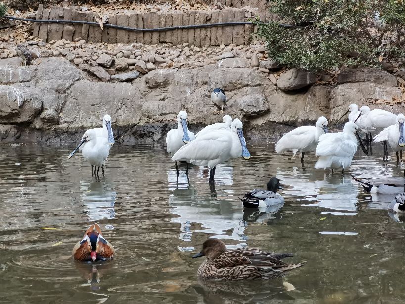 大连老虎滩5a景区,大连老虎滩5馆旅游攻略